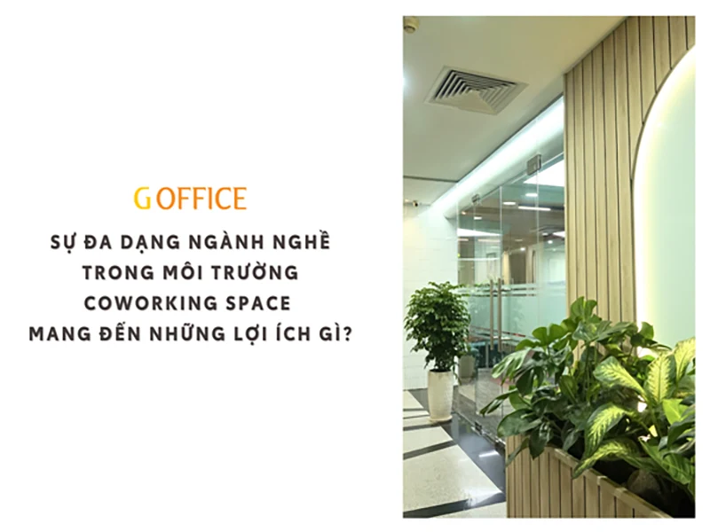 Sự đa dạng ngành nghề trong môi trường coworking space mang đến những lợi ích gì?